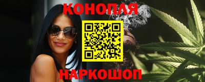 индика Брянск