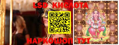 индика Брянск