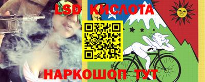 индика Брянск