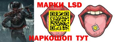 индика Брянск