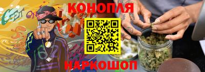 индика Брянск