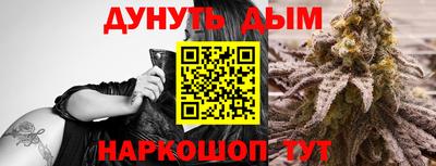индика Брянск