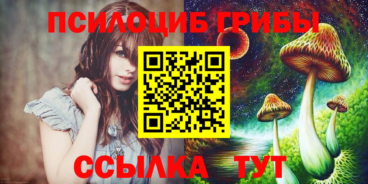 Рославль  Псилоцибиновые грибы прущие грибы  Псилоцибиновые грибы GOLDEN TEACHER  Вход с VPN 
